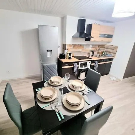 Appartement Neuf Rive-de-Gier Buitenkant foto