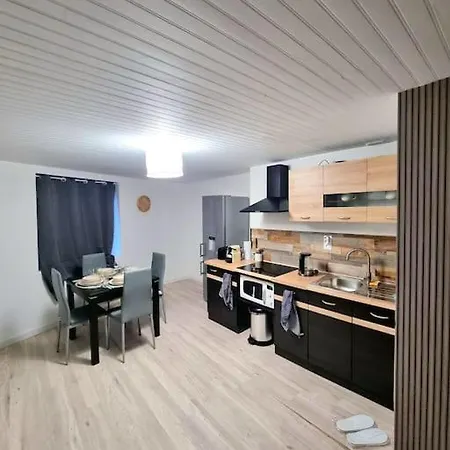 Appartement Neuf Rive-de-Gier Buitenkant foto